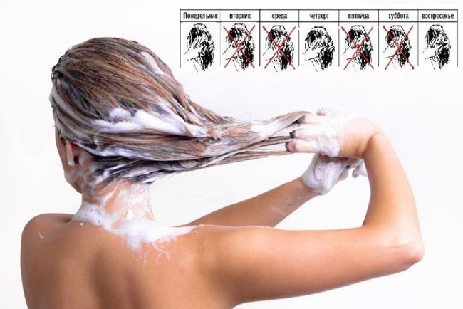 Примерный график мытья здоровых волос