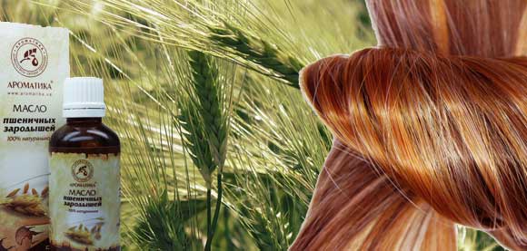 Масло пшеничных ростков – великолепный дар самой природы